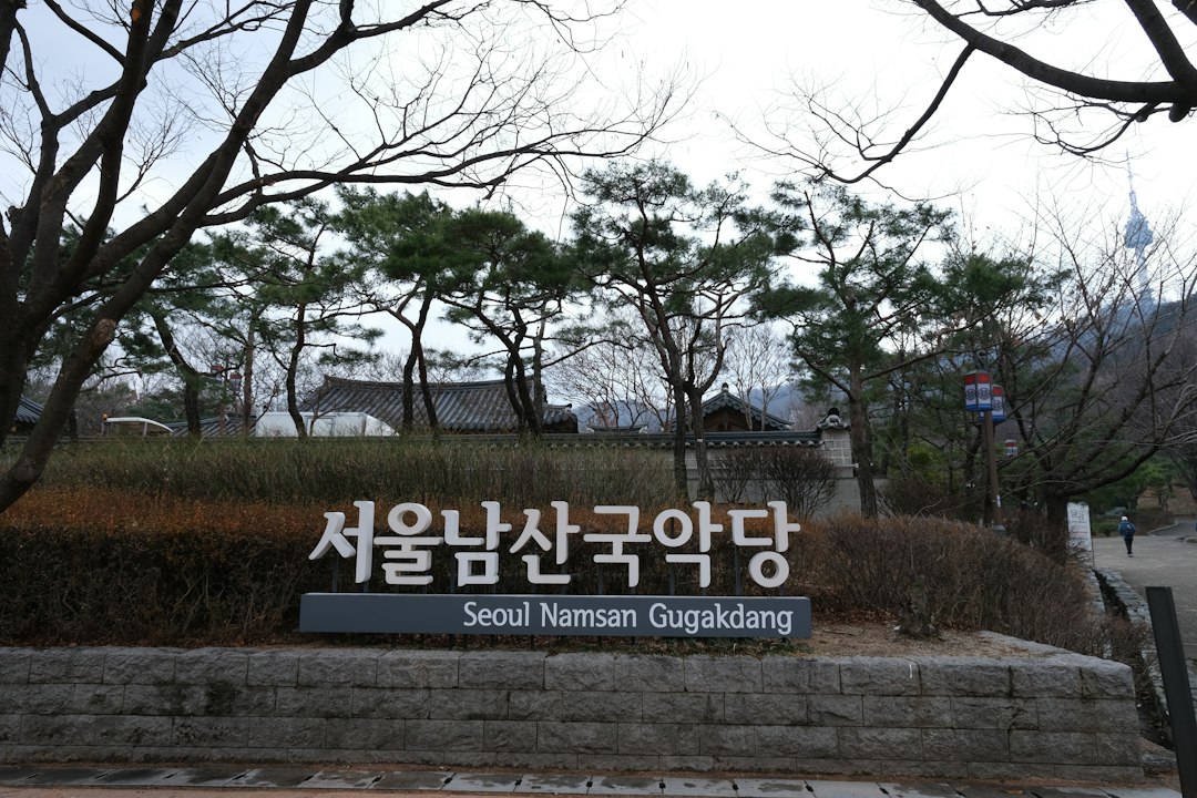 건강한다이어트 참고 이미지 2