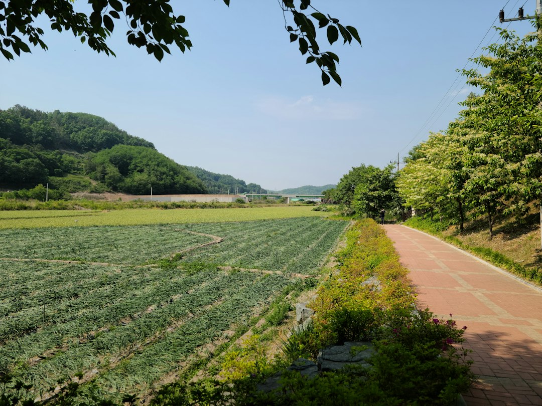 천연발효사과식초 참고 이미지 2